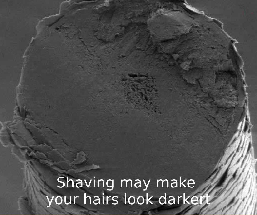 ladies shaving hair styles